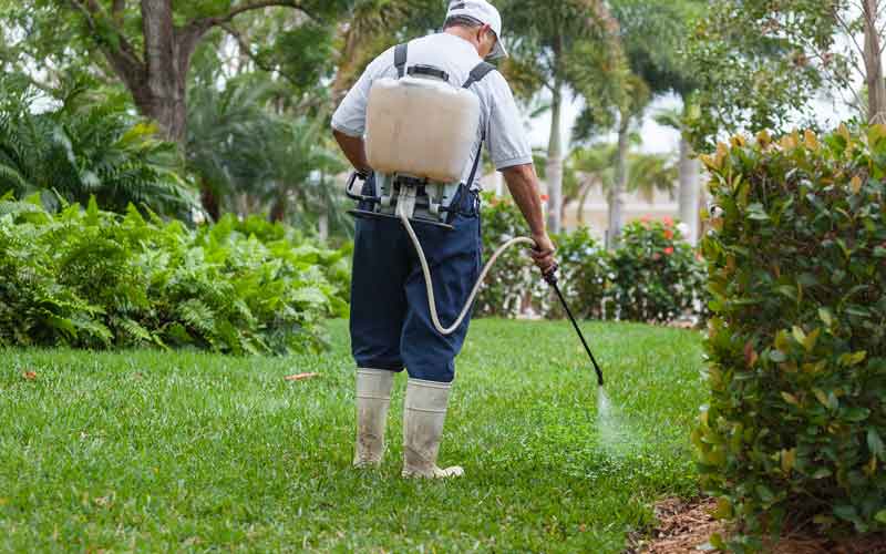 Pros and Cons of Organic Pest Control